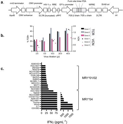 Conserved allomorphs of MR1 drive the specificity of MR1-restricted TCRs